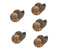 Zerodeko 5 Set Modelli Per Divertimento Esemplare Di Ammonite Scultura Di Ammoniti Esemplare Educativo Di Ammonite Modelli Ammonitici Marrone Scuro Fossile Di Conchiglia Naturale 2 Pezzi*5