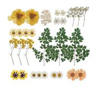 Zerodeko Materiale per Goffratura Fiori Secchi Pressati Veri, Confezione da 30 Pezzi Arancioni per Decorazioni Fai da Te, Trucco e Artigianato Creativo e Casa