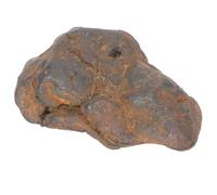 Zerodeko Meteorite Specimen Ornament Decorazione Didattica e Campione di Meteorite per Insegnamento in Classe e Arredo Tavolo Collezione Rocce Minerali per Feste e Compleanni