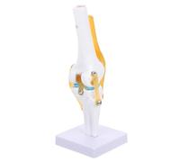 Zerodeko Modello Anatomico Ginocchio 1:1 in Pvc, Dimostrazione della Retroversione, Leggero per Insegnamento e Forniture di Laboratorio