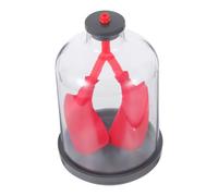 Zerodeko Modello Di Visualizzazione Della Funzione Polmonare Umano Per Bambini Strumento Di Dimostrazione Della Respirazione Interattiva Modello Di Anatomia Dettagliata Per I Laboratori