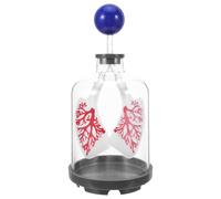 Zerodeko Modello Polmonare Didattico Simulatore Movimento Diaframma, Kit Scientifico per Classe e Dispositivo Dimostrativo della Respirazione per Formazione Medica e Lezioni di Anatomia