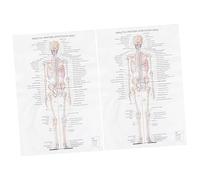 Zerodeko Poster Di Anatomia Umana Da 2 Pezzi Studio Del Corpo Anatomico Gigante Scheletro Ossa Poster Decorazione Estetica Insegnamento Dello Scheletro Torso Figura Muscolo