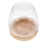 Zerodeko Vaso idroponico in vetro trasparente per pesci, decorazione per la casa - Vaso idroponico in bottiglia di propagazione per tavolino da salotto
