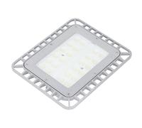 Zerodis Luce a LED Antideflagrante Certificata UL844 50W 5500LM Luce per Posizioni Pericolose con Alloggiamento in Alluminio Impermeabile IP65 per Stazione di Servizio di Fabbrica di