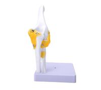 Zerodis Modello Dell'articolazione del Gomito, Anatomia Plastica dei | Sussidio Didattico per Scheletro, Strutture Ossee Mobili, Radio Dell'ulna Dell'omero, Supporto Rimovibile, Studio Clinico