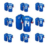 ZeroPlayer FIGC Italia Replica Ufficiale Maglia Home Kit 2024 Nazionale Italiana di Calcio - Personalizzabile Taglia Large