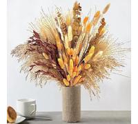 Zeroupshop Bouquet di erba della pampa essiccata naturale con pietre preziose, eucalipto, code di coniglio e steli di canna, composizione floreale per soggiorno, feste e matrimoni