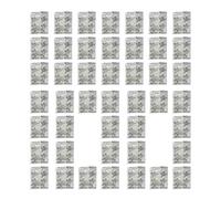 Zestivra Bagni Gel Assorbente Gel 100 Pezzi: Polvere Ausiliaria WC Portatile e Forte Che si trovano in Acqua, Coagulante Igienico | Risoluzione rapida del Gell per Le emer