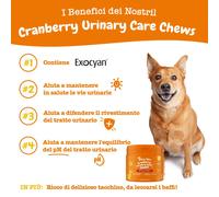 Zesty Paws Urinary Care Chews Mirtilli rossi - 90 pz