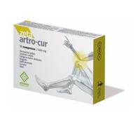 ZETA ARTRO CUR 30CPR N/F ERBOZ
