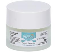 ZETA FARMACEUTICI GolaseptFlu Propoli Pomata Balsamica 50 ml Pomata