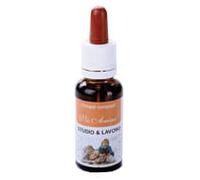 ZETACIESSE Srl RIMEDIO STUDIO&LAVORO 20 ML VISANIMI