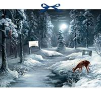 Zettel-Adventskalender - Liegt nun so still die weite Welt: 24 Gedichte über die Magie des Mondes