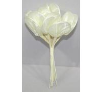 Zeus Party Bomboniera Mazzetto Color Crema 16 Racchette portaconfetti