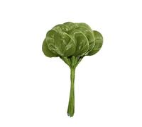 Zeus Party Bomboniera Mazzetto Verde 16 Racchette portaconfetti