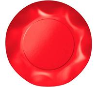 Zeus Party Piatti Grandi Carta Plastificata Tinta Unita con Bordi Ondulati 28cmm (Rosso)