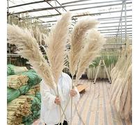 ZEYRU Commercio all'ingrosso 10 pz Boho Wedding Decor Grande Pennacchio Secco Pampa Erba Fiore Decor Naturale Reale Conservato Pampa Secca Per La Decorazione Domestica-10 pz-120 cm