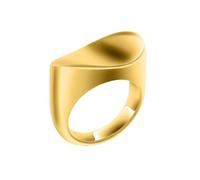 ZEZILE Anello di cremazione per ceneri in acciaio inox Pet umano cenere titolare urne anello a mano Gioielli ricordo funebre per donne uomini