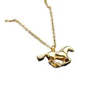 ZEZILE Ciondolo urna in acciaio inox per ceneri umane - collana di cremazione, gioielli commemorativi da mantenere amati