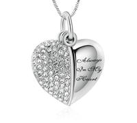 ZEZILE Collana di cristallo dell'urna di cremazione del cuore per le ceneri dei gioielli del memoriale del ricordo sempre nel mio cuore ciondolo funebre