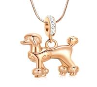 ZEZILE Cremazione Gioielli Cane Urna Collana per Ceneri In Acciaio Inox Memorial Pet Ceneri Umane Ciondolo Ricordo per Donne Uomini
