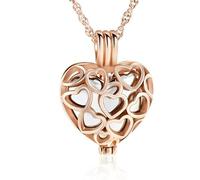 ZEZILE Cremazione Gioielli Cuore Urna Collane per Ceneri per le Donne in Acciaio Inox Memorial Ceneri Keepsake Hollow Pendente Collana