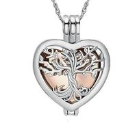ZEZILE Cremazione Gioielli Cuore Urna Collane per Ceneri per le Donne in Acciaio Inox Memorial Ceneri Keepsake Hollow Pendente Collana