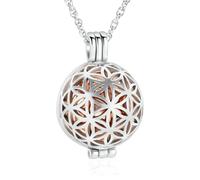 ZEZILE Cremazione Gioielli Fiore Hollow Ciondolo Palla Urna Collane per Ceneri In Acciaio Inox Keepsake Memorial Gift per Donne Uomini