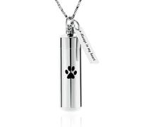 ZEZILE Cremazione Gioielli Paw Print Cilindro Urna Collana per Ceneri con Barattolo di Vetro Keepsake Urna Memorial Gioielli per Donne/Uomini