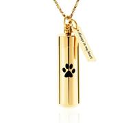 ZEZILE Cremazione Gioielli Paw Print Cilindro Urna Collana per Ceneri con Barattolo di Vetro Keepsake Urna Memorial Gioielli per Donne/Uomini