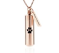 ZEZILE Cremazione Gioielli Paw Print Cilindro Urna Collana per Ceneri con Barattolo di Vetro Keepsake Urna Memorial Gioielli per Donne/Uomini