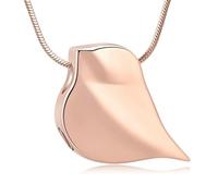 ZEZILE Cremazione Gioielli per Ceneri In Acciaio Inox Pendente Urna Collana Keepsake Memorial Regalo per Donne Uomini