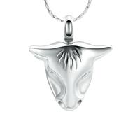 ZEZILE Cremazione Gioielli per Ceneri Urna Collana Keepsake 316L in acciaio inox Memorial Ciondolo