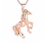 ZEZILE Gioielli Cavallo Cremazione Gioielli Urne Per Ceneri Urna Collana In Acciaio Inox Per Umano/Animale Domestico Ceneri Memoriale Ricordo