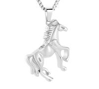 ZEZILE Gioielli Cavallo Cremazione Gioielli Urne Per Ceneri Urna Collana In Acciaio Inox Per Umano/Animale Domestico Ceneri Memoriale Ricordo