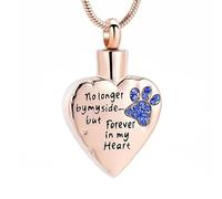 ZEZILE Non Più Al Mio Fianco Ma Per Sempre Nel Mio Cuore Cremazione Gioielli Per Ceneri In Acciaio Inox Pet Paw Keepsake Memorial Urna Collane