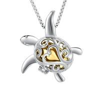 ZEZILE Tartaruga Cremazione Gioielli per Ceneri In Acciaio Inox Memorial Pendente Urna Collana Animale Domestico Umano Cenere Titolare Ricordo per Uomo Donna