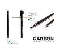 ZFISH BANK STICK CARBON DRILL REGOLABILE A VITE CARPFISHING PICCHETTO CARPA