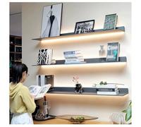 Zfmnoyev Mensole Luminose A Parete Con Luci A LED Integrate, Mensole Sospese A Parete In Lega Di Alluminio, 1 Mensola Versatile Per Piante O Libreria, Per Soggiorno, Ufficio(Grey,90x20x6 cm)