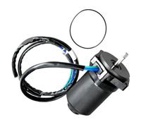 ZfOvvRe 6C5-43880 Motore di inclinazione e Assetto Elettrico Adatto for Motore fuoribordo a 4 Tempi F40 50 60HP F50TLR F60T 6C5-43880-00 6C5-43880-01