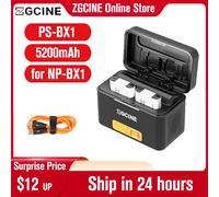 ZGCINE PS-BX1 scatola di ricarica rapida per batteria per Sony NP-BX1 custodia di ricarica intelligente ricaricabile per custodia per batteria della fotocamera