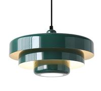 ZGDHWCR Lampadario a sospensione personalizzato a testa singola, lampadario in metallo in stile industriale, paralume per lampada da soffitto con attacco E27, lampadario decorativo per corridoio e bal