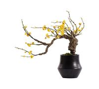 ZGHQHCDRH Fiori Artificiali in Vaso, Albero Artificiale Bonsai Realistico Verde Piante in Vaso Simulazione Muschio Decorazione Ufficio Studio Cinese Liv