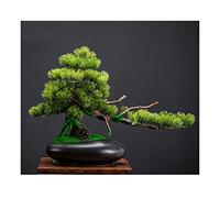 ZGHQHCDRH Fiori Artificiali in Vaso, Bonsai Artificiale, Finto Albero di Pino e vasi in Ceramica Nera, espositore for Piante, Ornamenti in Vaso for Alberi Finti