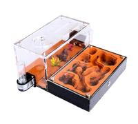 ZGHQHCDRH Formicaio, formicaio, Studio del comportamento delle formiche, didattico for