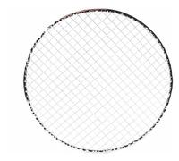 ZGHQHCDRH Griglie, Vassoio for Barbecue Multiuso da 5 Pezzi, Rotondo, USA e Getta, in Rete Metallica, Adatto for ristoranti e Negozi di Barbecue(28CM)