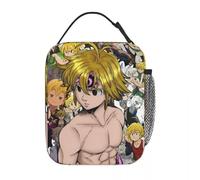 ZGHQHCDRH I Sette Peccati Capitali Meliodas Borse Isolate per Il Pranzo Contenitore di Grandi Risacca Tote Lunch Box Scuola Viaggio Bento Pouch