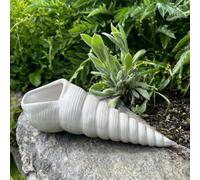 ZGM Betonfigur Conchiglia Lunga Bianca/Argento, Decorazione da Esterno/Interno