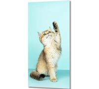 ZGmaxCL Fai da Te 5D Diamond Painting Kit Completo Gattino Carino Decorazione Artigianato per Casa e Pareti 80x40cm